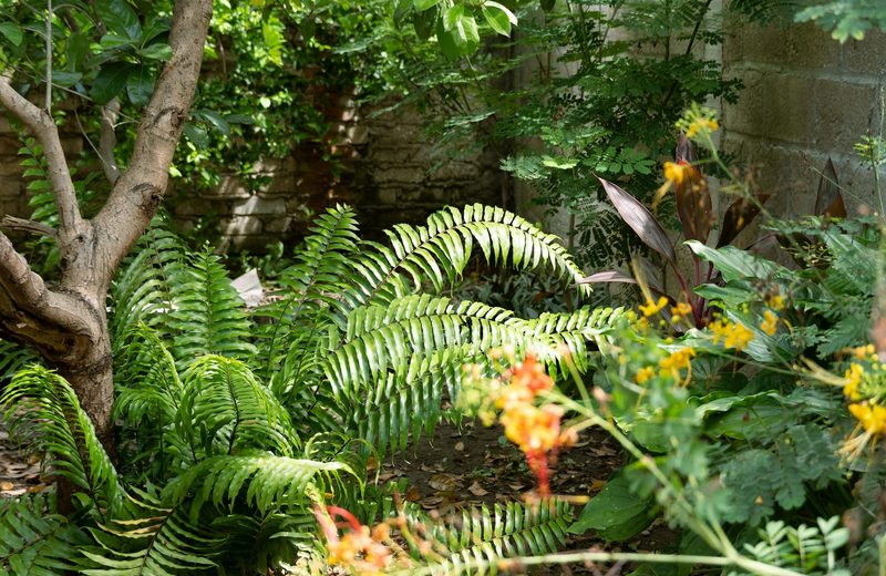 Manicured Gardens
